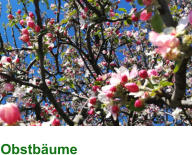 Obstbäume