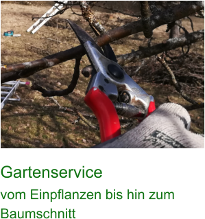 Gartenservice vom Einpflanzen bis hin zum Baumschnitt