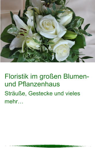 Floristik im großen Blumen- und Pflanzenhaus Sträuße, Gestecke und vieles mehr…