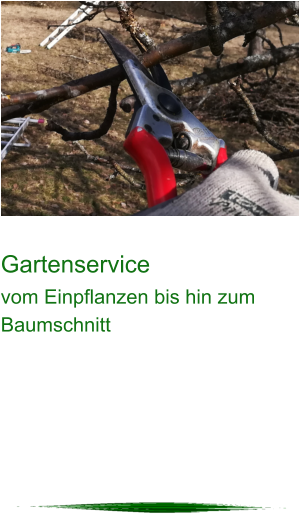 Gartenservice vom Einpflanzen bis hin zum Baumschnitt